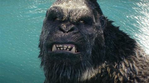 A Dor De Dente Em Godzilla X Kong Foi Inspirada Na Dor Real De Um