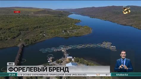 Форелевые фермы развивают в ВКО - YouTube