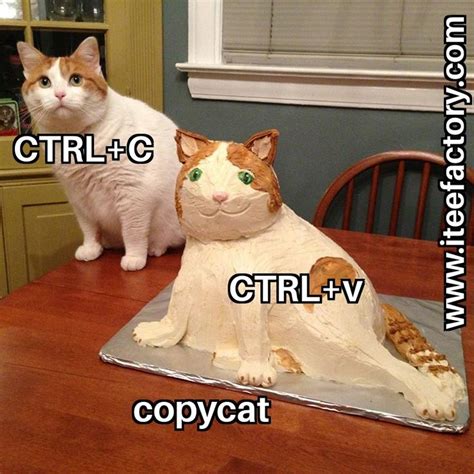 So This Is A Copycat Iteefactory Windows Memestagram Sarcasm