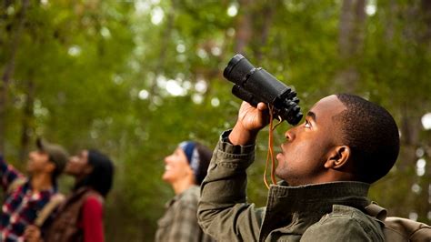 Best Binoculars Our Picks For Stargazing Bird Watching And