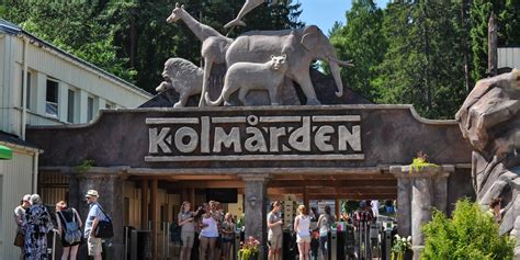 Kolmårdens Djurpark - Largest zoo in Sweden | GuidebookSweden