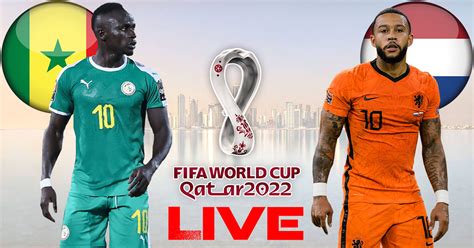 S N Gal Vs Pays Bas En Live Streaming Coupe Du Monde Kapitalis