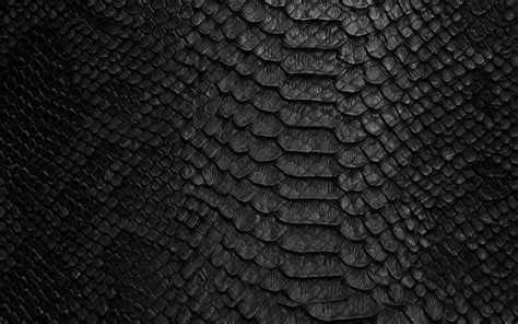 Download wallpapers black snake leather texture, snake skin background ...