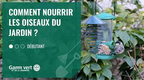 Tuto Comment Nourrir Les Oiseaux Du Jardin Jardinerie Gamm Vert