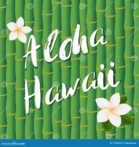 El Dise O Del Vector De Texto De Las Letras Del Cepillo De Aloha Hawaii