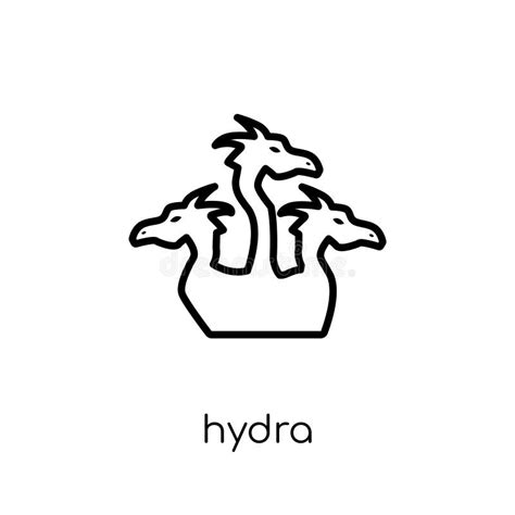 Outline Hydra Structure Diagram Vector Educated Illustration Stock