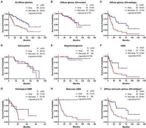 Frontiers Clinical Roles Of Egfr Amplification In Diffuse Gliomas A