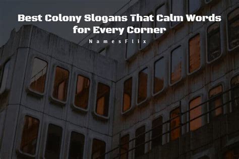 505 Best Colony Slogans That Calm Words For Every Corner