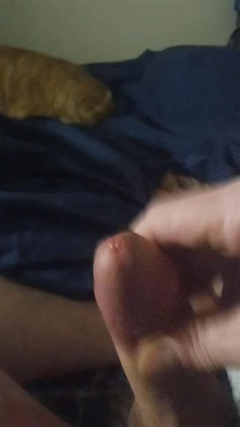 Nearly A Minute Of My Cock Gay Middle Aged Amateur Porn Feat Sonnysg XHamster