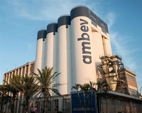 Ambev em 2021 História da empresa atuação e estratégias