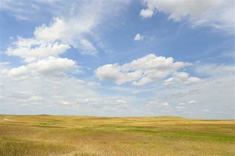 What’s the difference between plain and plane? - Collins Dictionary