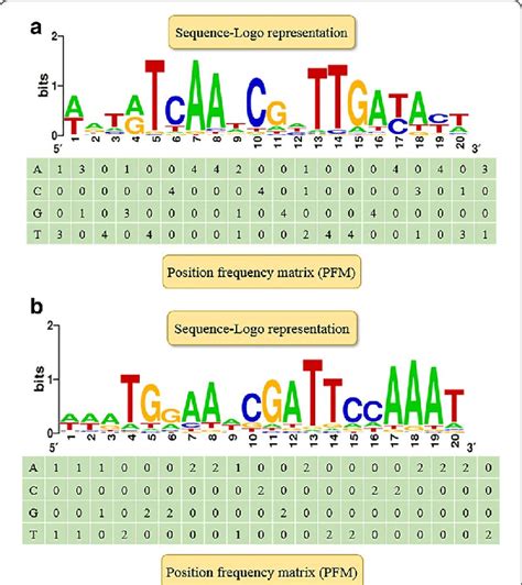 Consensus Sequence Motif Of The Transcription Factor Binding Sites