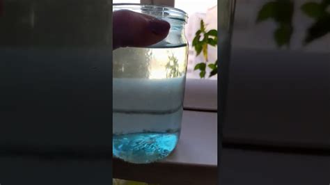 Коловратка пресноводная Филодина - YouTube