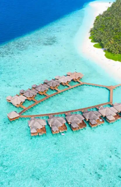 Nights Days Maldives Tour Package Furaveri Island Resort