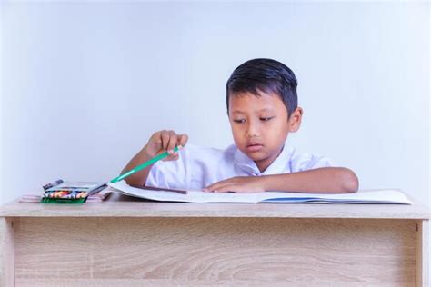 boy studying hard stock  images  backgrounds