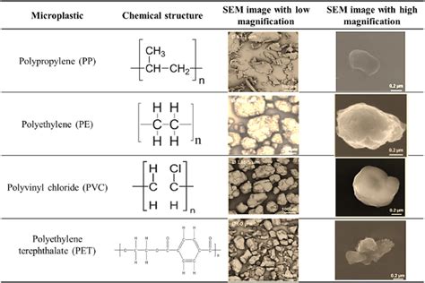 Chemical Structure And SEM Images Of PP PE PVC And PET Microplastics