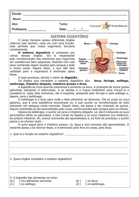 Sistema Digestivo 5 Ano Atividades