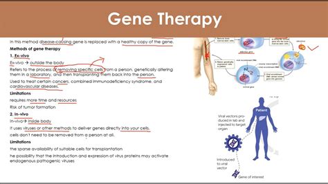 Gene Therapy Ex Vivo In Vivo Biotechnology YouTube