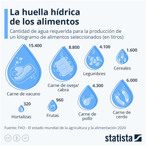 Sabes Cu Nta Agua Requiere Tu Comida Favorita