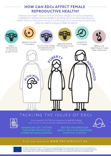 Health And Environment Alliance How Endocrine Disrupting Chemicals