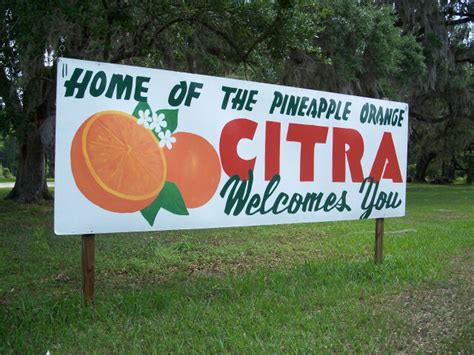 Citra, FL - Geographic Facts & Maps - MapSof.net