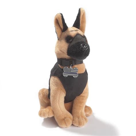 Pet owners are discussing the average belgian malinois size online 26