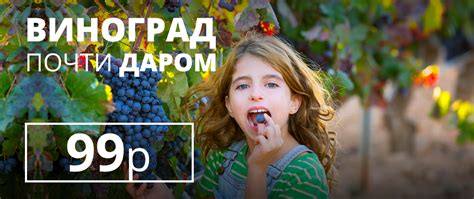 Златпитомник – Интернет-магазин саженцы плодовых и ягодных с доставкой ...