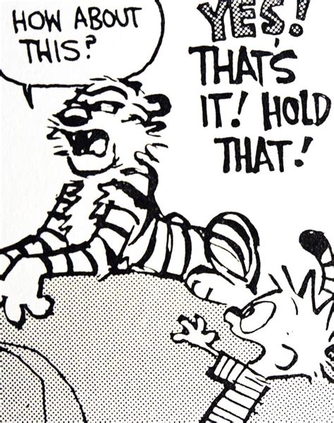 Calvin And Hobbes DE S CLASSIC PICK Of The Day 7 25 14 Hobbes Posing