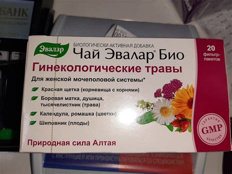 Трава красная щетка применение при женских болезнях киста и миома матки ...
