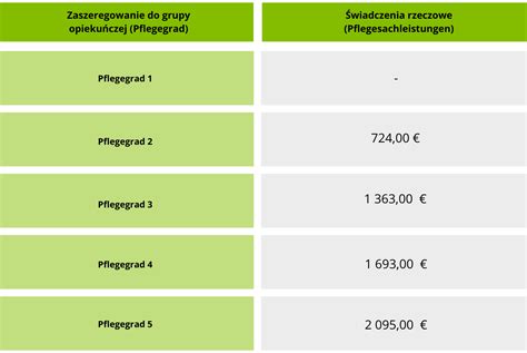 Opiekunki W Niemczech Zmiany W Roku Carework Pl