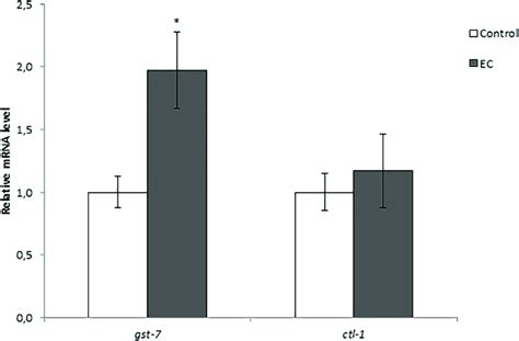 Effect Of EC On The Expression Of Gst 7 And Ctl 1 Genes In Wild Type C