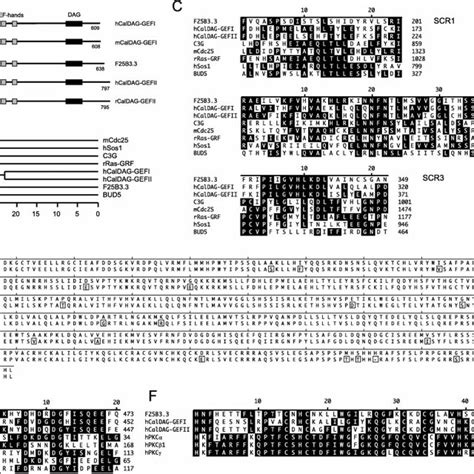 In Situ Hybridization Analysis Of The Expression Of Guanine Nucleotide