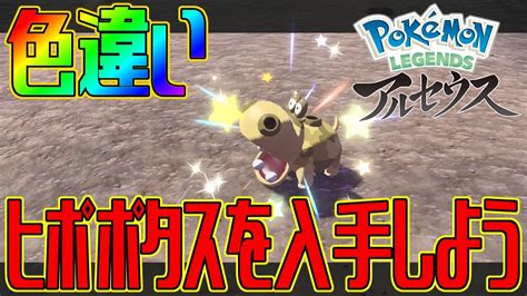 【ポケモンアルセウス】色違いヒポポタスを入手しよう【pokémon Legends アルセウス】 Youtube