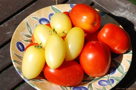 Roasting Tomatoes Grilling And Freezing Too The Coeur D Alene Coop