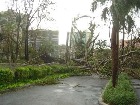 Hurricane Wilma (2005) - Miami Photo (621968) - Fanpop