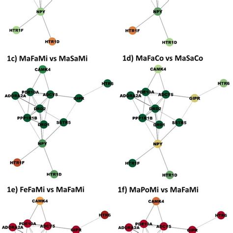 Gene networks for the cAMP signaling pathway showcasing prevalent,... | Download Scientific Diagram