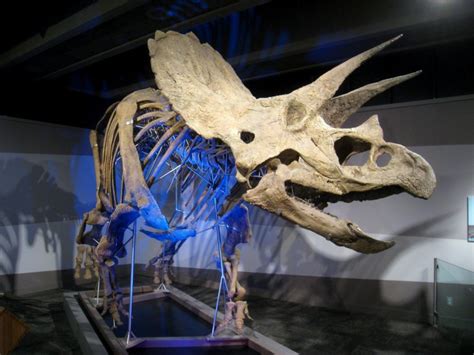 Five Science Museums To Visit In The Boston Area The Daily Free Press