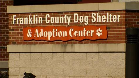 Franklin County Dog Shelter offers free spay and neuter program | WSYX