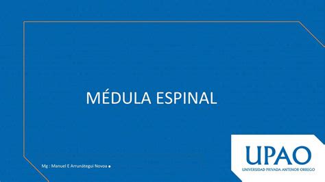 Medula Espinal Sebas Guev UDocz