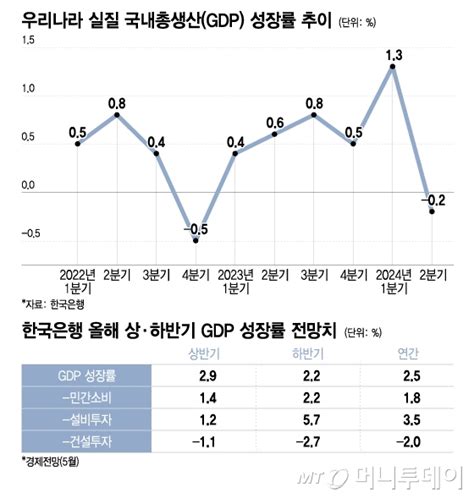 역성장에도 年 25 성장 자신한 한은내수 회복은 언제쯤 머니투데이