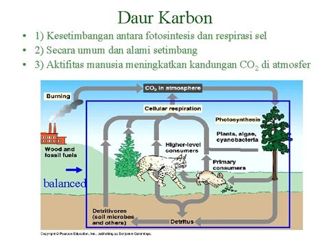 Daur Biogeokimia Daur Geologi Dan Daur Biogeokimia 2003