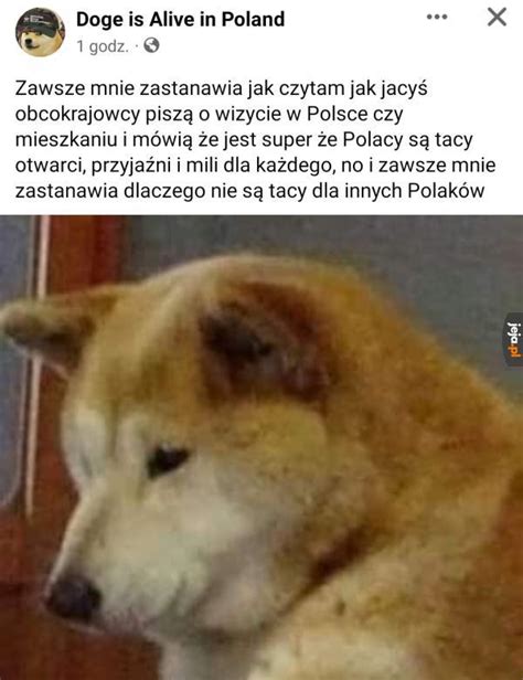 Przykre trochę Jeja pl