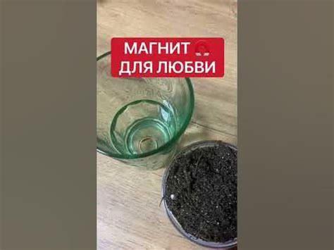 | Магнит для любви | Белая магия #Shorts - YouTube
