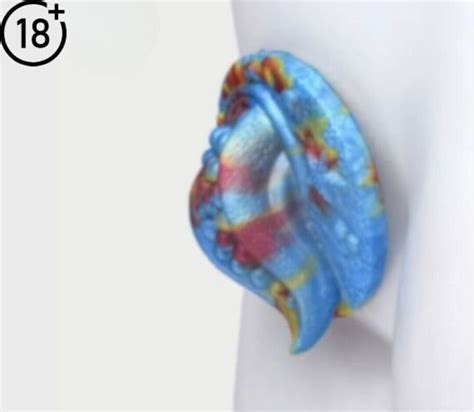 Sex Toys For Women Orgasm Stimulates Masturbator Fantasy Dildo Sex Toys Etsy