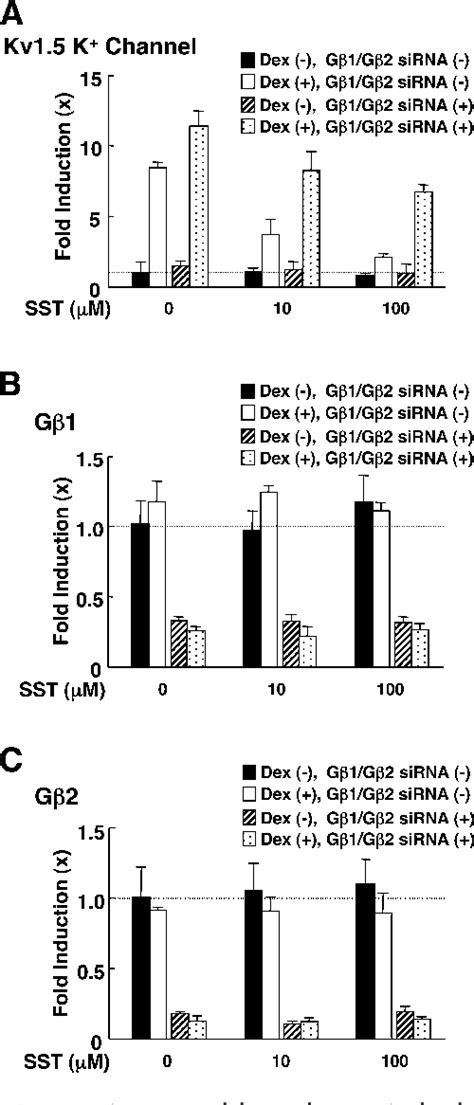 Figure 3 From G Protein β Interacts With The Glucocorticoid Receptor