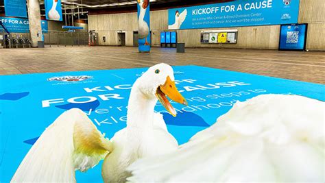 Aflac | Close the Gap