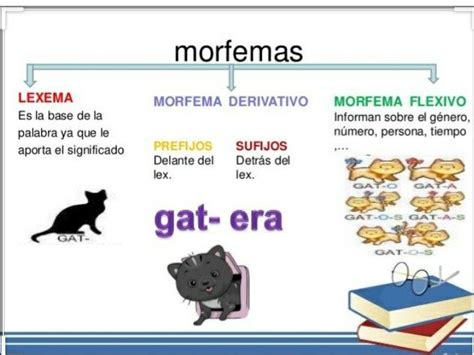 Morfema Reglas De Escritura Prefijos Palabras De Vocabulario