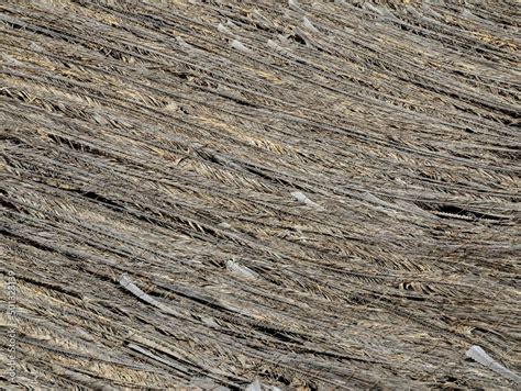 Texture of the classic thatch roof Stock Photo | Adobe Stock