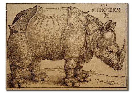 Riproduzione Quadro The Rhinoceros Albrecht D Rer Quadri Famosi