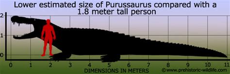 The Biggest Prehistoric Crocodile – Jurassic-Dreams.com